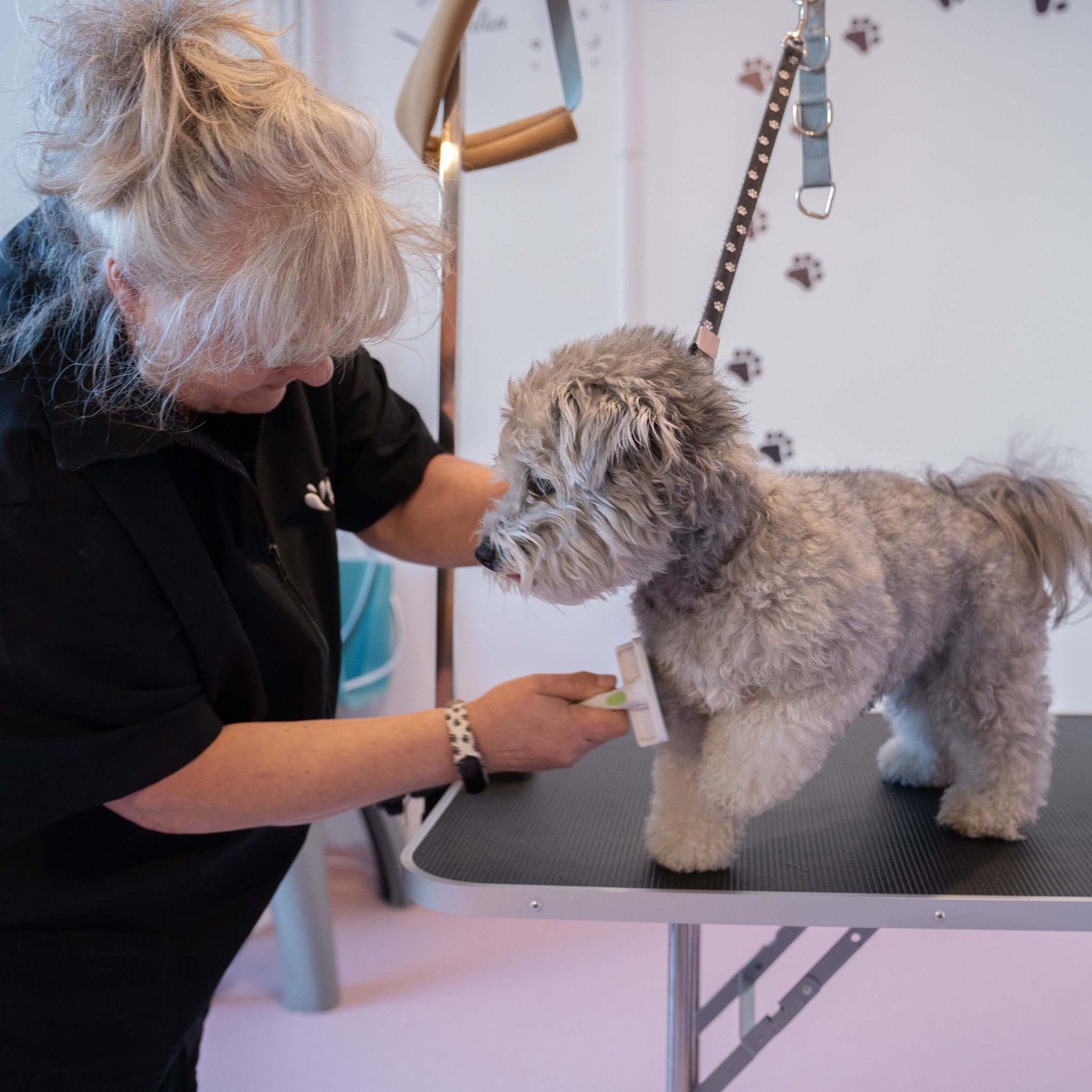 Grooming (Salon Piękności dla Zwierząt) — przychodnia Żbik Otwock